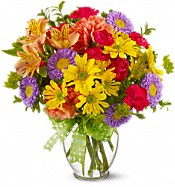 CLICK HERE to shop everyday flowers!